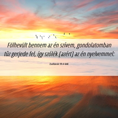 Picture 06 - Zsoltárok 39:4 KAR - Fölhevült bennem az én szívem, gondolatomban - Bible Verse Picture