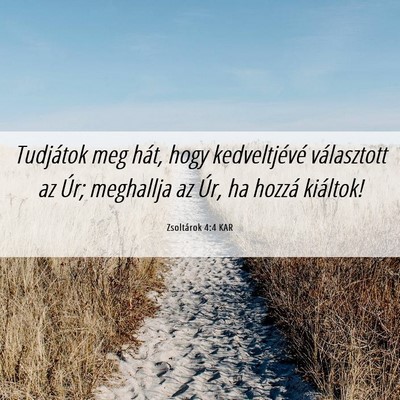 Picture 06 - Zsoltárok 4:4 KAR - Tudjátok meg hát, hogy kedveltjévé - Bible Verse Picture