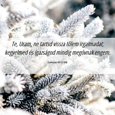 Picture 06 - Zsoltárok 40:12 KAR - Te, Uram, ne tartsd vissza tõlem irgalmadat; - Bible Verse Picture
