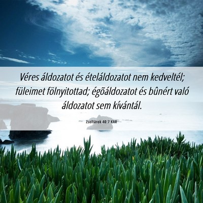 Picture 06 - Zsoltárok 40:7 KAR - Véres áldozatot és ételáldozatot nem - Bible Verse Picture