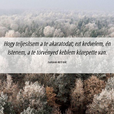 Picture 06 - Zsoltárok 40:9 KAR - Hogy teljesítsem a te akaratodat; ezt kedvelem, - Bible Verse Picture