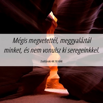 Picture 06 - Zsoltárok 44:10 KAR - Mégis megvetettél, meggyaláztál minket, és - Bible Verse Picture