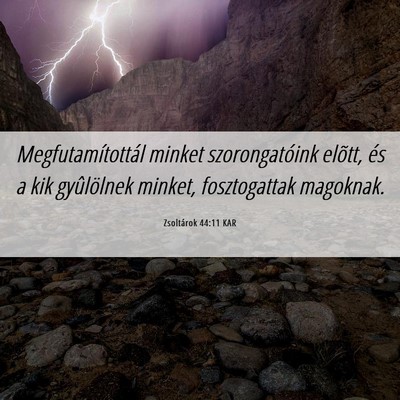 Picture 06 - Zsoltárok 44:11 KAR - Megfutamítottál minket szorongatóink elõtt, - Bible Verse Picture