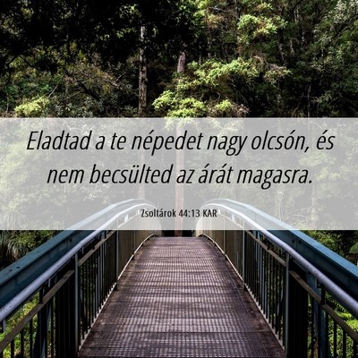 Picture 06 - Zsoltárok 44:13 KAR - Eladtad a te népedet nagy olcsón, és nem - Bible Verse Picture