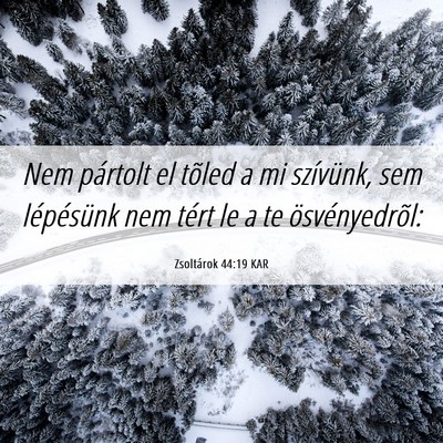 Picture 06 - Zsoltárok 44:19 KAR - Nem pártolt el tõled a mi szívünk, sem - Bible Verse Picture