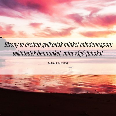 Picture 06 - Zsoltárok 44:23 KAR - Bizony te éretted gyilkoltak minket mindennapon; - Bible Verse Picture