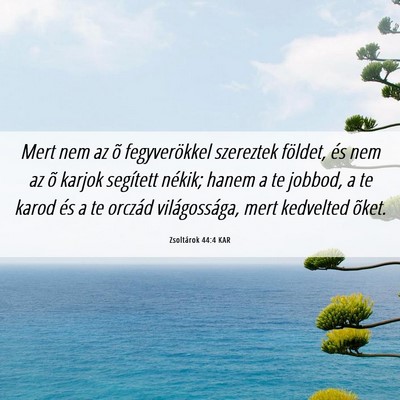 Picture 06 - Zsoltárok 44:4 KAR - Mert nem az õ fegyverökkel szereztek földet, - Bible Verse Picture