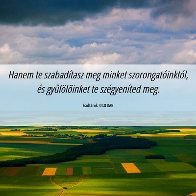 Picture 06 - Zsoltárok 44:8 KAR - Hanem te szabadítasz meg minket - Bible Verse Picture