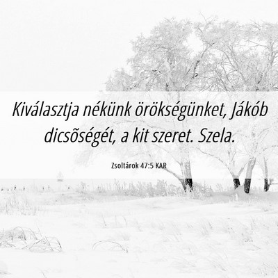 Picture 06 - Zsoltárok 47:5 KAR - Kiválasztja nékünk örökségünket, Jákób - Bible Verse Picture
