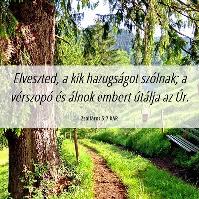 Picture 06 - Zsoltárok 5:7 KAR - Elveszted, a kik hazugságot szólnak; a - Bible Verse Picture