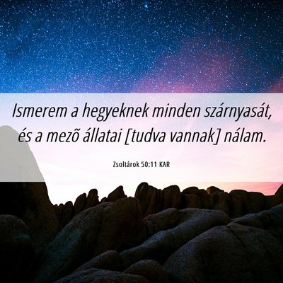 Picture 06 - Zsoltárok 50:11 KAR - Ismerem a hegyeknek minden szárnyasát, és a - Bible Verse Picture