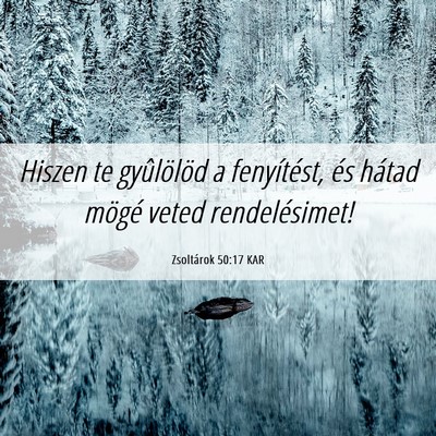 Picture 06 - Zsoltárok 50:17 KAR - Hiszen te gyûlölöd a fenyítést, és hátad - Bible Verse Picture