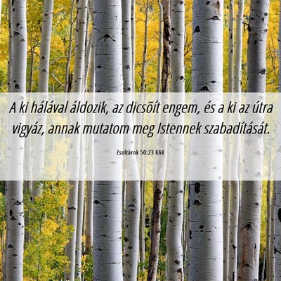 Picture 06 - Zsoltárok 50:23 KAR - A ki hálával áldozik, az dicsõít engem, és - Bible Verse Picture