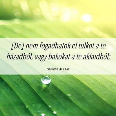 Picture 06 - Zsoltárok 50:9 KAR - [De] nem fogadhatok el tulkot a te házadból, - Bible Verse Picture