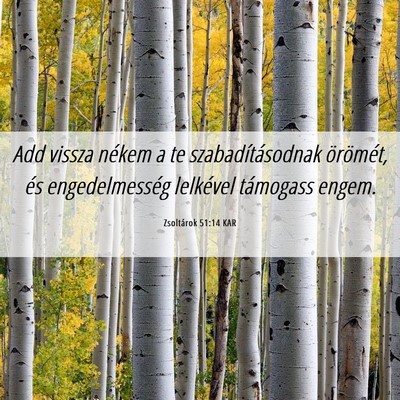 Picture 06 - Zsoltárok 51:14 KAR - Add vissza nékem a te szabadításodnak - Bible Verse Picture