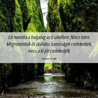 Picture 06 - Zsoltárok 53:2 KAR - Ezt mondta a balgatag az õ szívében: Nincs - Bible Verse Picture