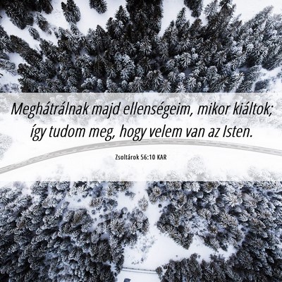 Picture 06 - Zsoltárok 56:10 KAR - Meghátrálnak majd ellenségeim, mikor kiáltok; - Bible Verse Picture
