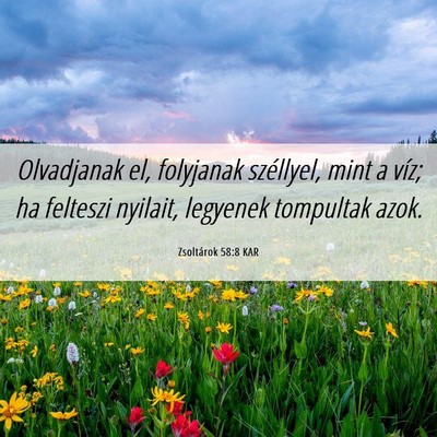 Picture 06 - Zsoltárok 58:8 KAR - Olvadjanak el, folyjanak széllyel, mint a víz; - Bible Verse Picture