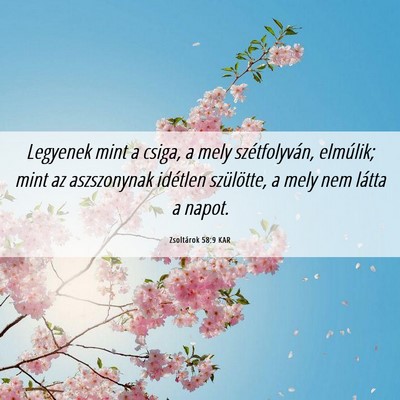 Picture 06 - Zsoltárok 58:9 KAR - Legyenek mint a csiga, a mely szétfolyván, - Bible Verse Picture
