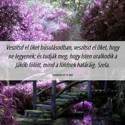 Picture 06 - Zsoltárok 59:14 KAR - Veszítsd el õket búsulásodban, veszítsd el - Bible Verse Picture