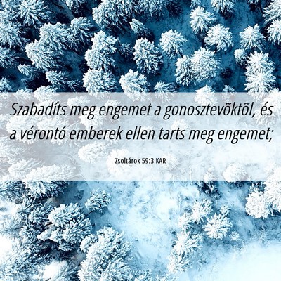 Picture 06 - Zsoltárok 59:3 KAR - Szabadíts meg engemet a gonosztevõktõl, és a - Bible Verse Picture