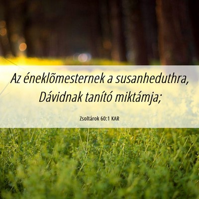 Picture 06 - Zsoltárok 60:1 KAR - Az éneklõmesternek a susanheduthra, Dávidnak - Bible Verse Picture