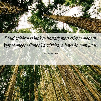 Picture 06 - Zsoltárok 61:3 KAR - E föld szélérõl kiáltok te hozzád; mert - Bible Verse Picture