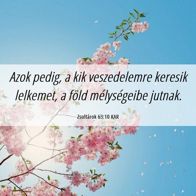 Picture 06 - Zsoltárok 63:10 KAR - Azok pedig, a kik veszedelemre keresik lelkemet, - Bible Verse Picture