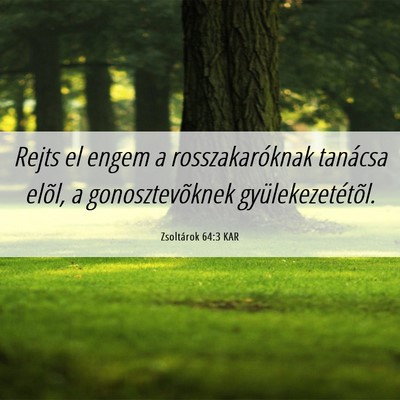 Picture 06 - Zsoltárok 64:3 KAR - Rejts el engem a rosszakaróknak tanácsa elõl, - Bible Verse Picture