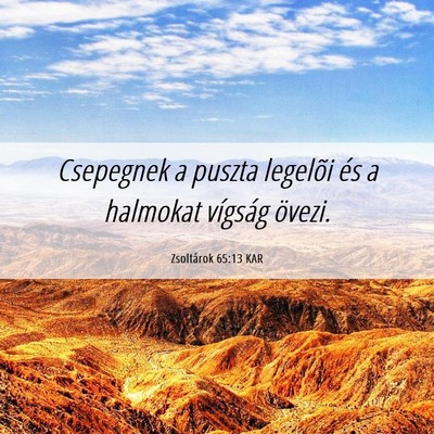 Picture 06 - Zsoltárok 65:13 KAR - Csepegnek a puszta legelõi és a halmokat - Bible Verse Picture