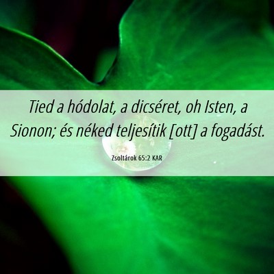 Picture 06 - Zsoltárok 65:2 KAR - Tied a hódolat, a dicséret, oh Isten, a Sionon; - Bible Verse Picture