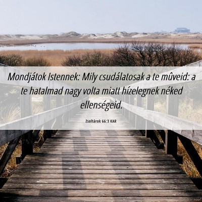 Picture 06 - Zsoltárok 66:3 KAR - Mondjátok Istennek: Mily csudálatosak a te - Bible Verse Picture