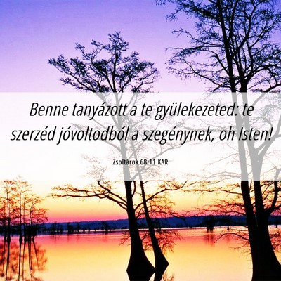 Picture 06 - Zsoltárok 68:11 KAR - Benne tanyázott a te gyülekezeted: te szerzéd - Bible Verse Picture