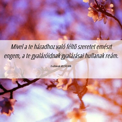 Picture 06 - Zsoltárok 69:10 KAR - Mivel a te házadhoz való féltõ szeretet - Bible Verse Picture