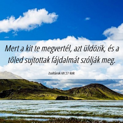 Picture 06 - Zsoltárok 69:27 KAR - Mert a kit te megvertél, azt üldözik, és a - Bible Verse Picture
