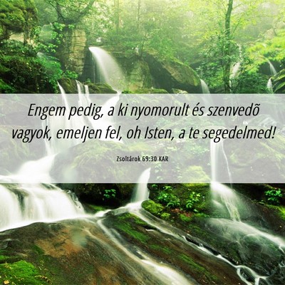 Picture 06 - Zsoltárok 69:30 KAR - Engem pedig, a ki nyomorult és szenvedõ vagyok, - Bible Verse Picture