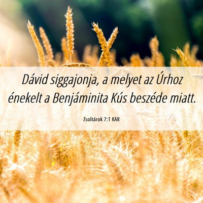 Picture 06 - Zsoltárok 7:1 KAR - Dávid siggajonja, a melyet az Úrhoz énekelt a - Bible Verse Picture