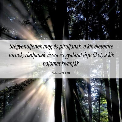 Picture 06 - Zsoltárok 70:3 KAR - Szégyenüljenek meg és piruljanak, a kik - Bible Verse Picture