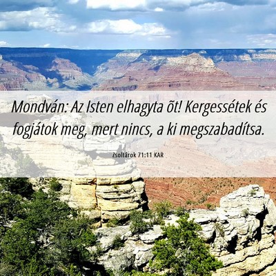 Picture 06 - Zsoltárok 71:11 KAR - Mondván: Az Isten elhagyta õt! Kergessétek és - Bible Verse Picture