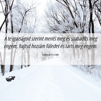 Picture 06 - Zsoltárok 71:2 KAR - A te igazságod szerint ments meg és szabadíts - Bible Verse Picture
