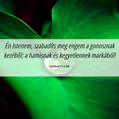 Picture 06 - Zsoltárok 71:4 KAR - Én Istenem, szabadíts meg engem a gonosznak - Bible Verse Picture