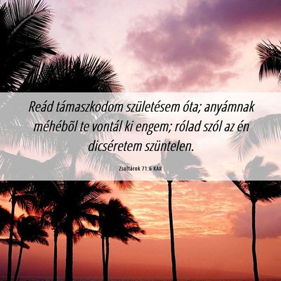 Picture 06 - Zsoltárok 71:6 KAR - Reád támaszkodom születésem óta; anyámnak - Bible Verse Picture