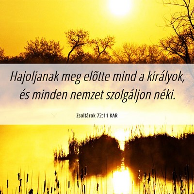 Picture 06 - Zsoltárok 72:11 KAR - Hajoljanak meg elõtte mind a királyok, és - Bible Verse Picture