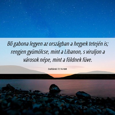 Picture 06 - Zsoltárok 72:16 KAR - Bõ gabona legyen az országban a hegyek tetején - Bible Verse Picture