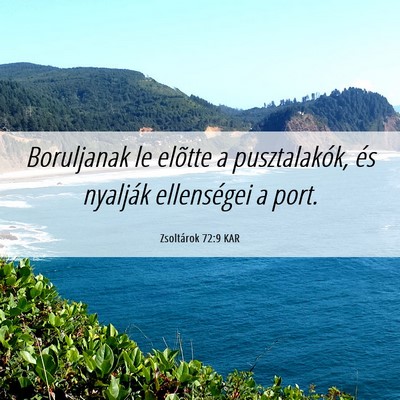 Picture 06 - Zsoltárok 72:9 KAR - Boruljanak le elõtte a pusztalakók, és - Bible Verse Picture