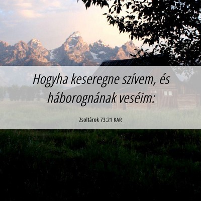 Picture 06 - Zsoltárok 73:21 KAR - Hogyha keseregne szívem, és háborognának - Bible Verse Picture