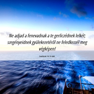 Picture 06 - Zsoltárok 74:19 KAR - Ne adjad a fenevadnak a te gerliczédnek lelkét; - Bible Verse Picture
