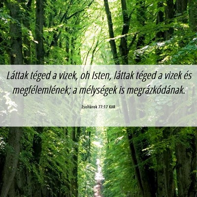 Picture 06 - Zsoltárok 77:17 KAR - Láttak téged a vizek, oh Isten, láttak téged - Bible Verse Picture