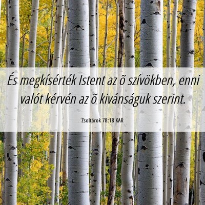 Picture 06 - Zsoltárok 78:18 KAR - És megkísérték Istent az õ szívökben, enni - Bible Verse Picture