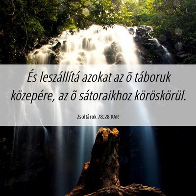Picture 06 - Zsoltárok 78:28 KAR - És leszállítá azokat az õ táboruk - Bible Verse Picture
